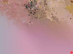 Pavlovac 08 10 20: Online Cams & Sounding WebCam Record d4