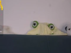 Edlinhargus: Pussy WebCam Record 08