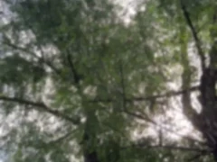 Kikiwatson: Free Xxx Free WebCam Record b2